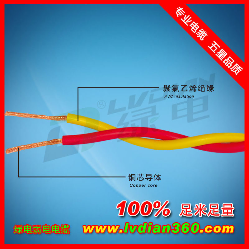 RVS 銅芯聚氯乙烯絕緣絞型電線